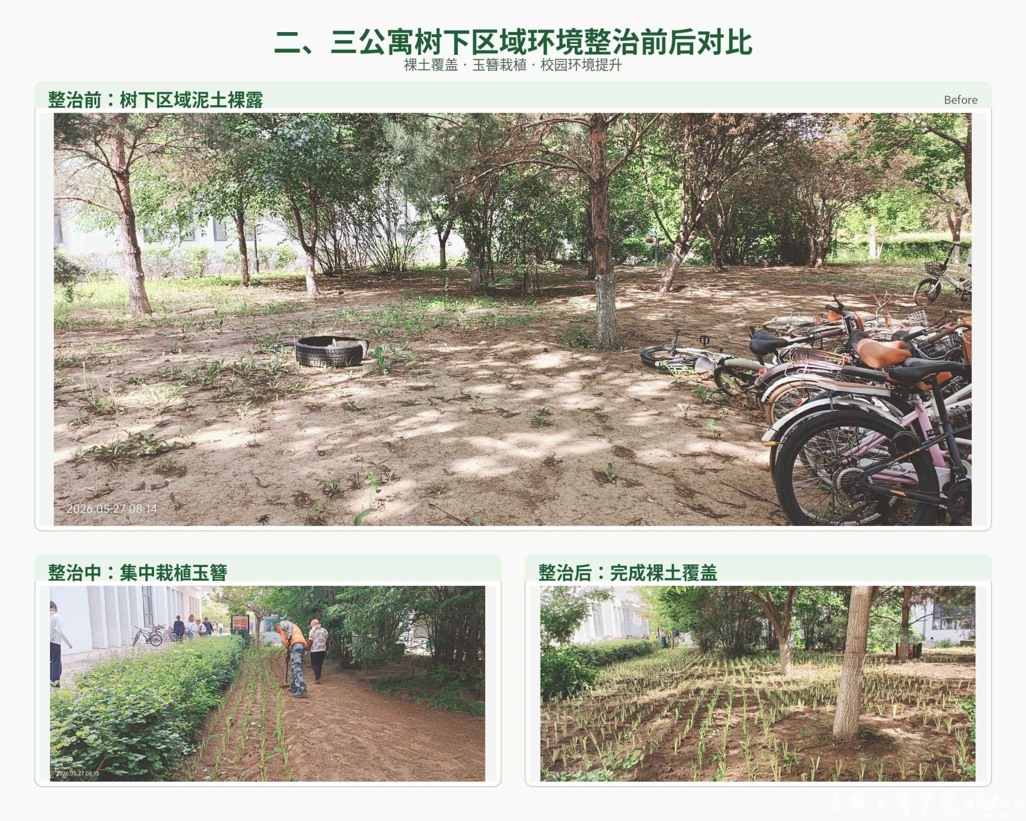 春染校园添新绿 精细服务暖人心