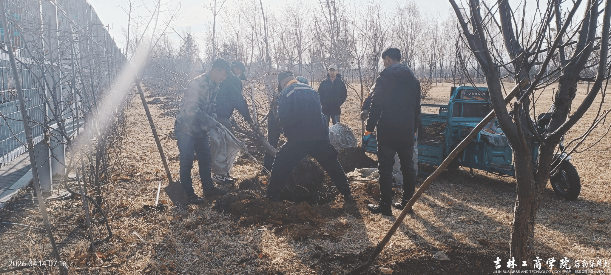 抢抓春季养护黄金期 精细管理焕新校园颜值 ——后勤保障处全面开展校园绿化精细化养护工作